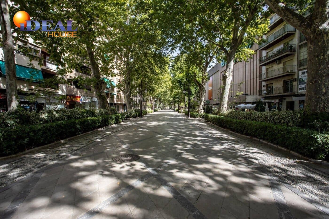 Commerciale in vendita in Granada citta - 550.000 € (Rif: 9433767)