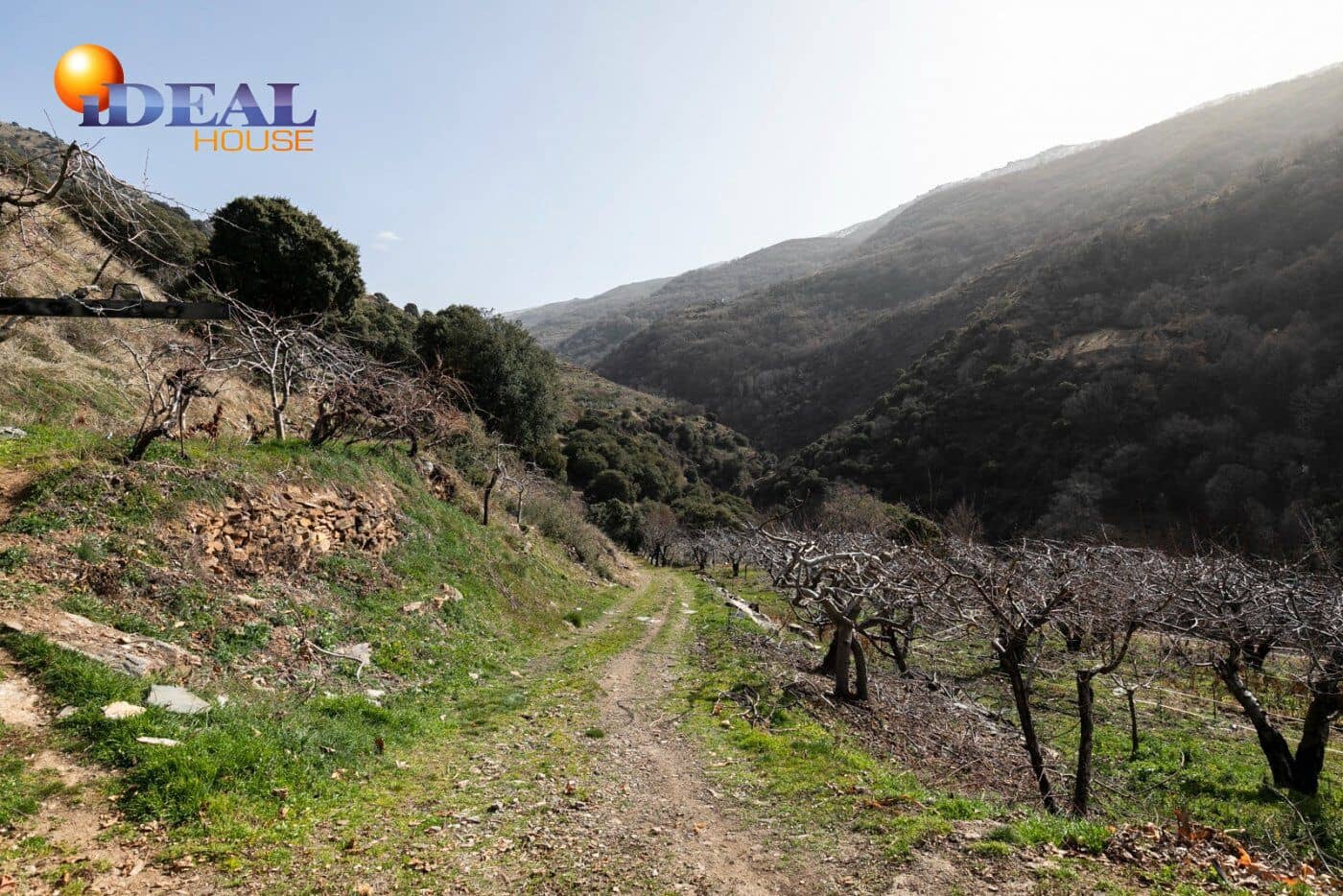 Bauplatz zu verkaufen in Guejar Sierra - 154.000 € (Ref: 9433772)