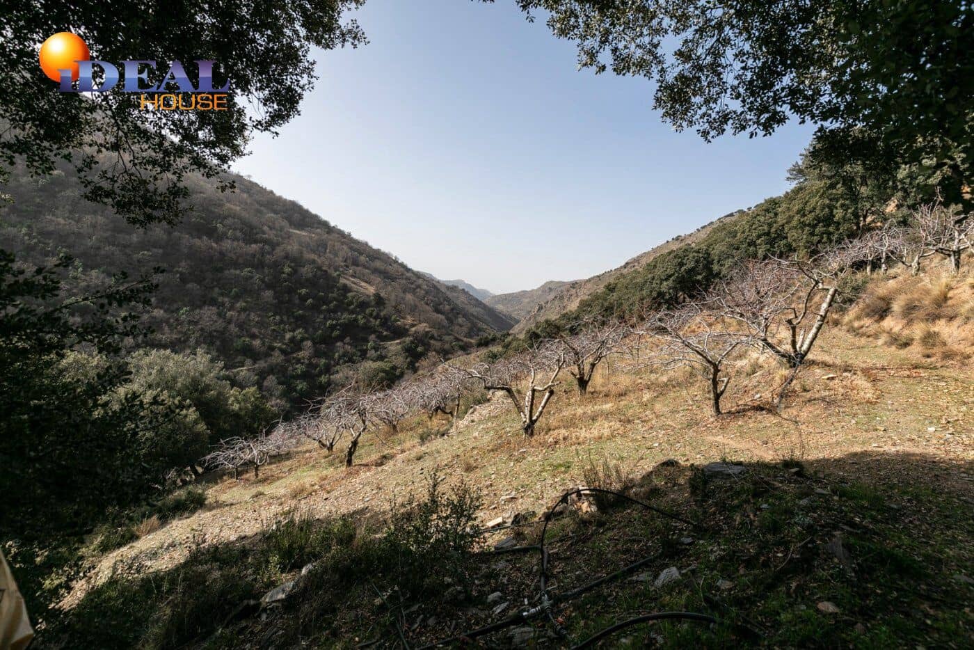 Bauplatz zu verkaufen in Guejar Sierra - 154.000 € (Ref: 9433772)