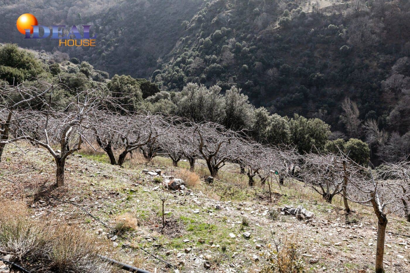 Bauplatz zu verkaufen in Guejar Sierra - 154.000 € (Ref: 9433772)