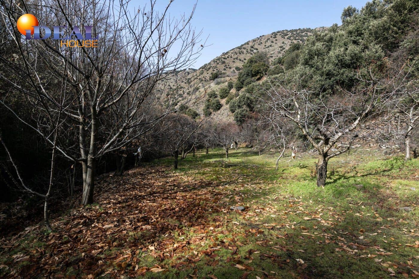 Bauplatz zu verkaufen in Guejar Sierra - 154.000 € (Ref: 9433772)