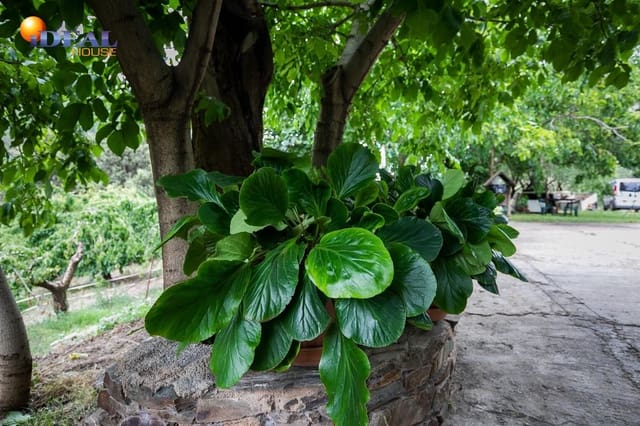 Bauplatz zu verkaufen in Güéjar Sierra - 154.000 € (Ref: 9433772)