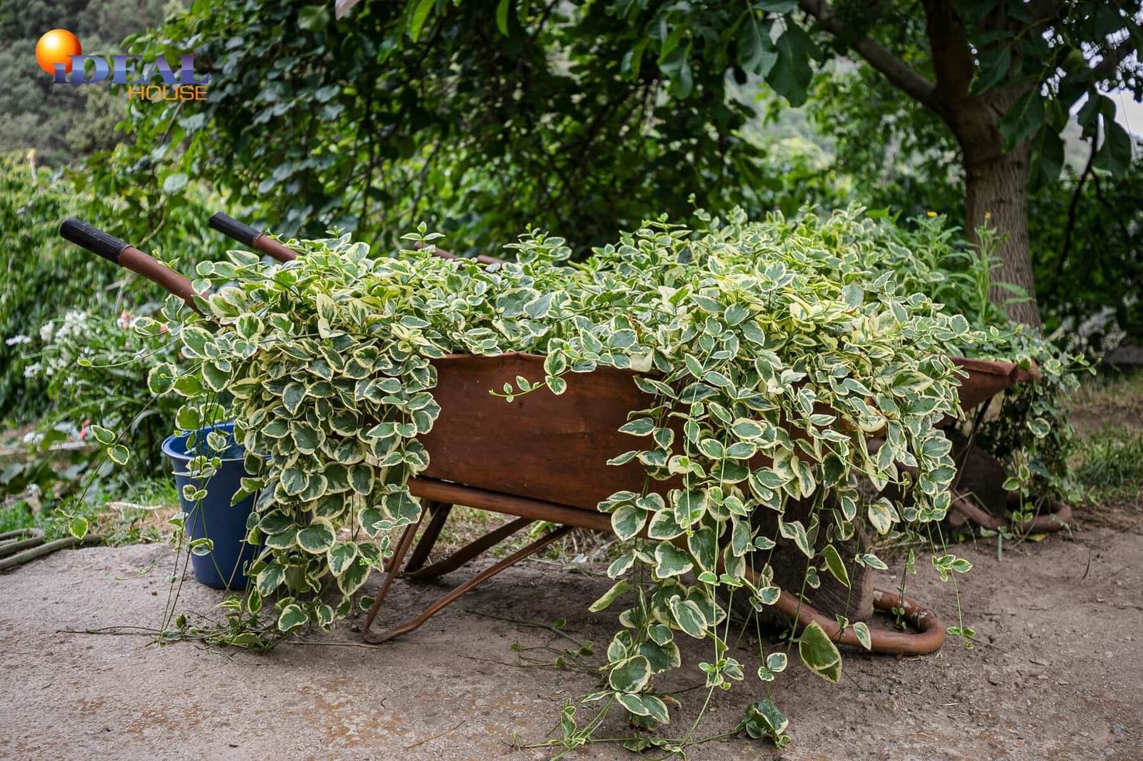 Bauplatz zu verkaufen in Guejar Sierra - 154.000 € (Ref: 9433772)