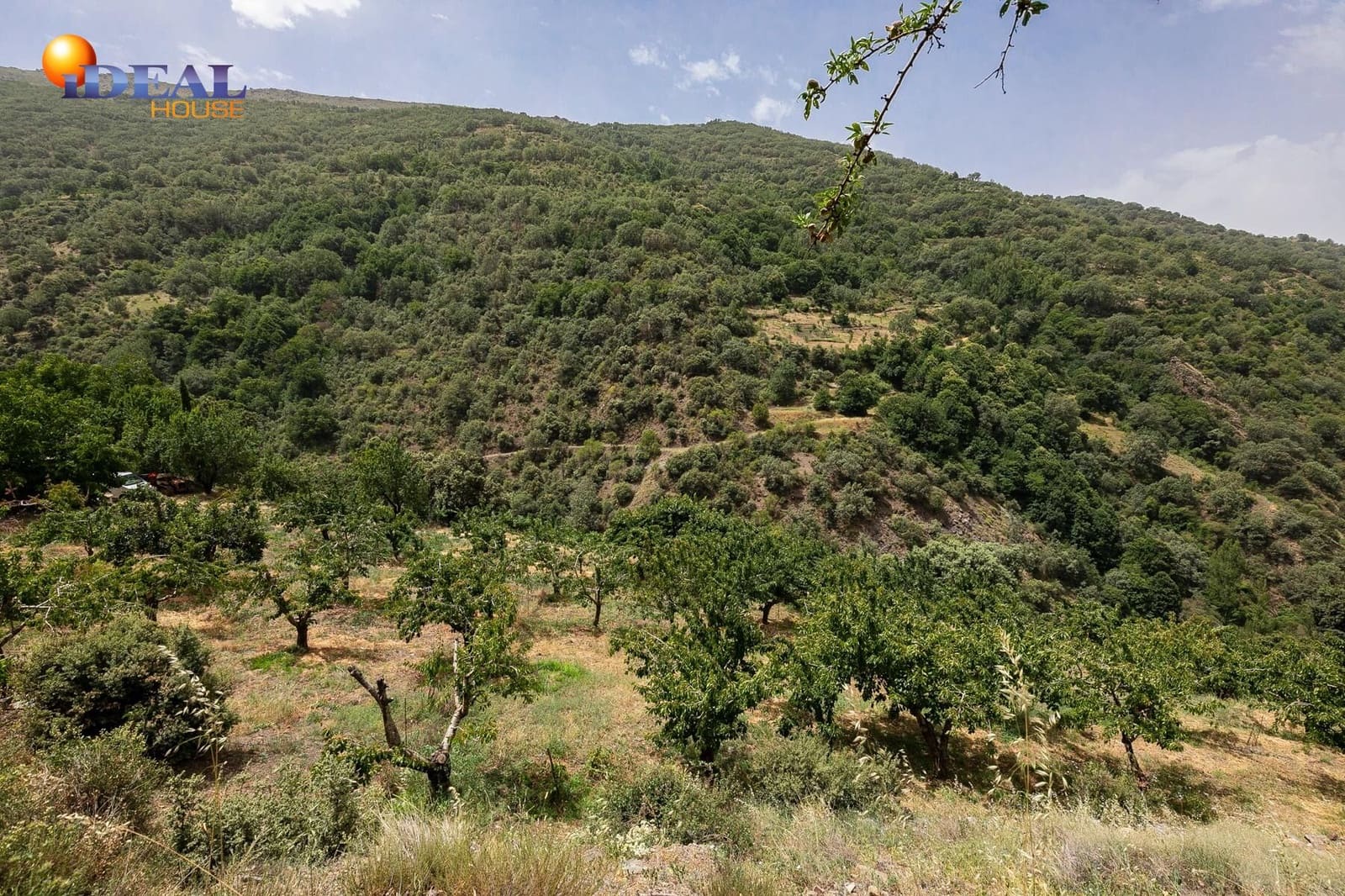 Bauplatz zu verkaufen in Guejar Sierra - 154.000 € (Ref: 9433772)