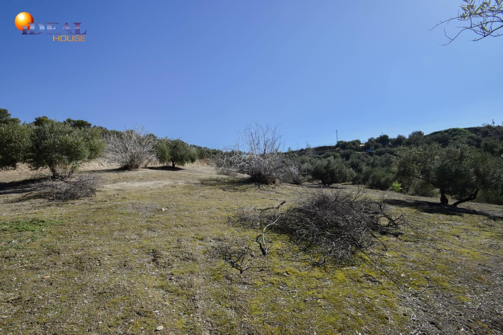 Finca/Casa Rural en Granada ciudad en venta con piscina - 150.000 € (Ref: 9433807)