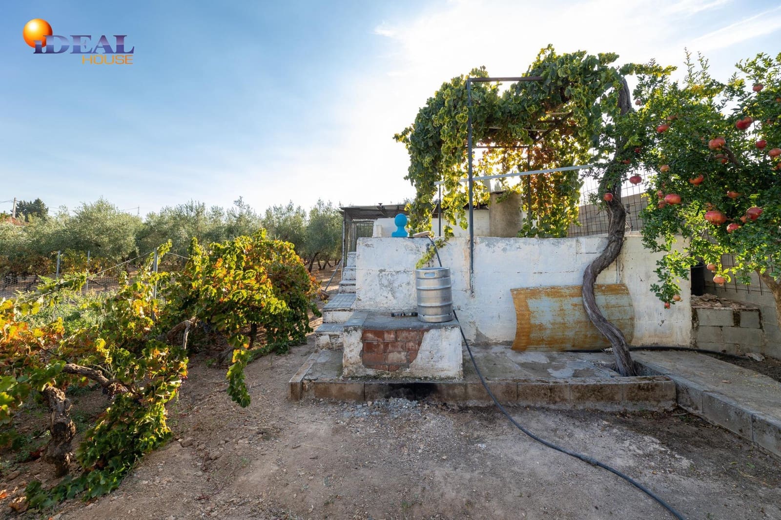 3 bedroom Finca/Country House for sale in Moraleda de Zafayona with pool - € 220,000 (Ref: 9433866)