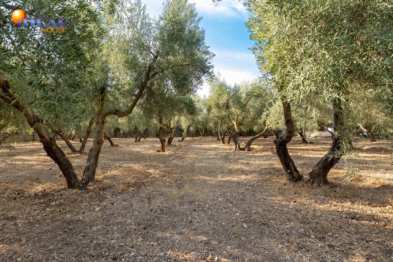 3 bedroom Finca/Country House for sale in Moraleda de Zafayona with pool - € 220,000 (Ref: 9433866)