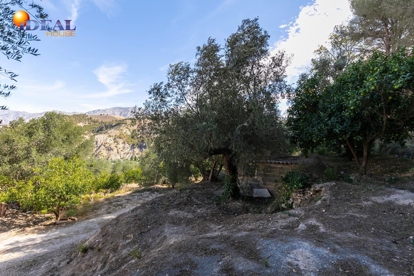 Solar/Parcela en Conchar en venta - 139.000 € (Ref: 9433869)