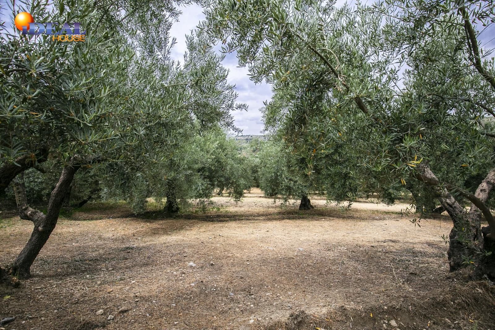 Terrain à Bâtir à vendre à Huetor Santillan - 88 500 € (Ref: 9433879)