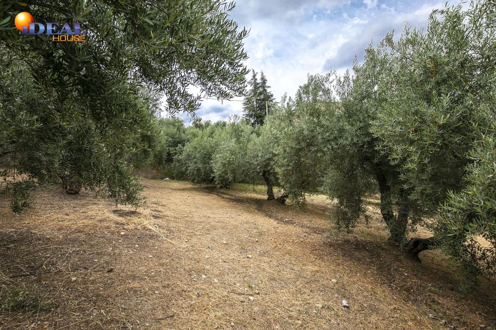 Terrain à Bâtir à vendre à Huetor Santillan - 88 500 € (Ref: 9433879)