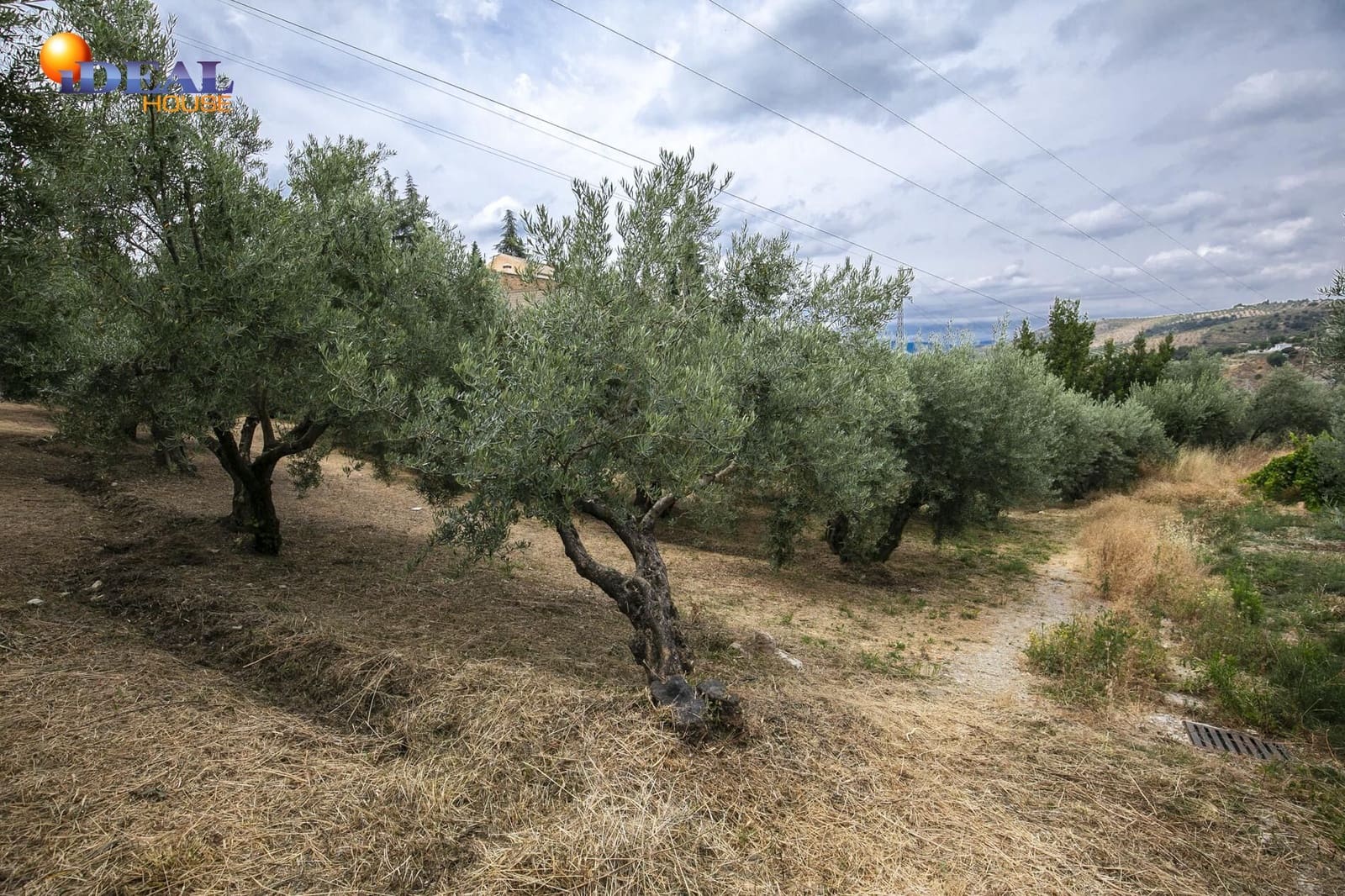 Terrain à Bâtir à vendre à Huetor Santillan - 88 500 € (Ref: 9433879)