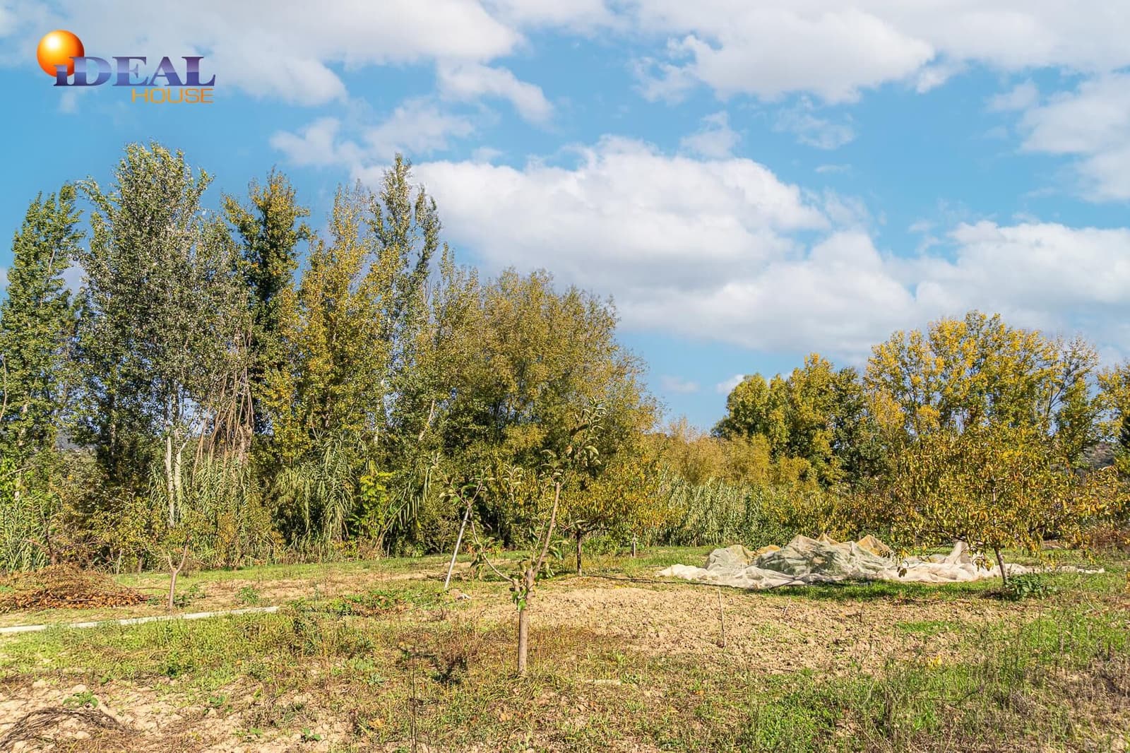 4 soverom Finca/Herregård til salgs i Castillo de Locubin med svømmebasseng - € 200 000 (Ref: 9433886)