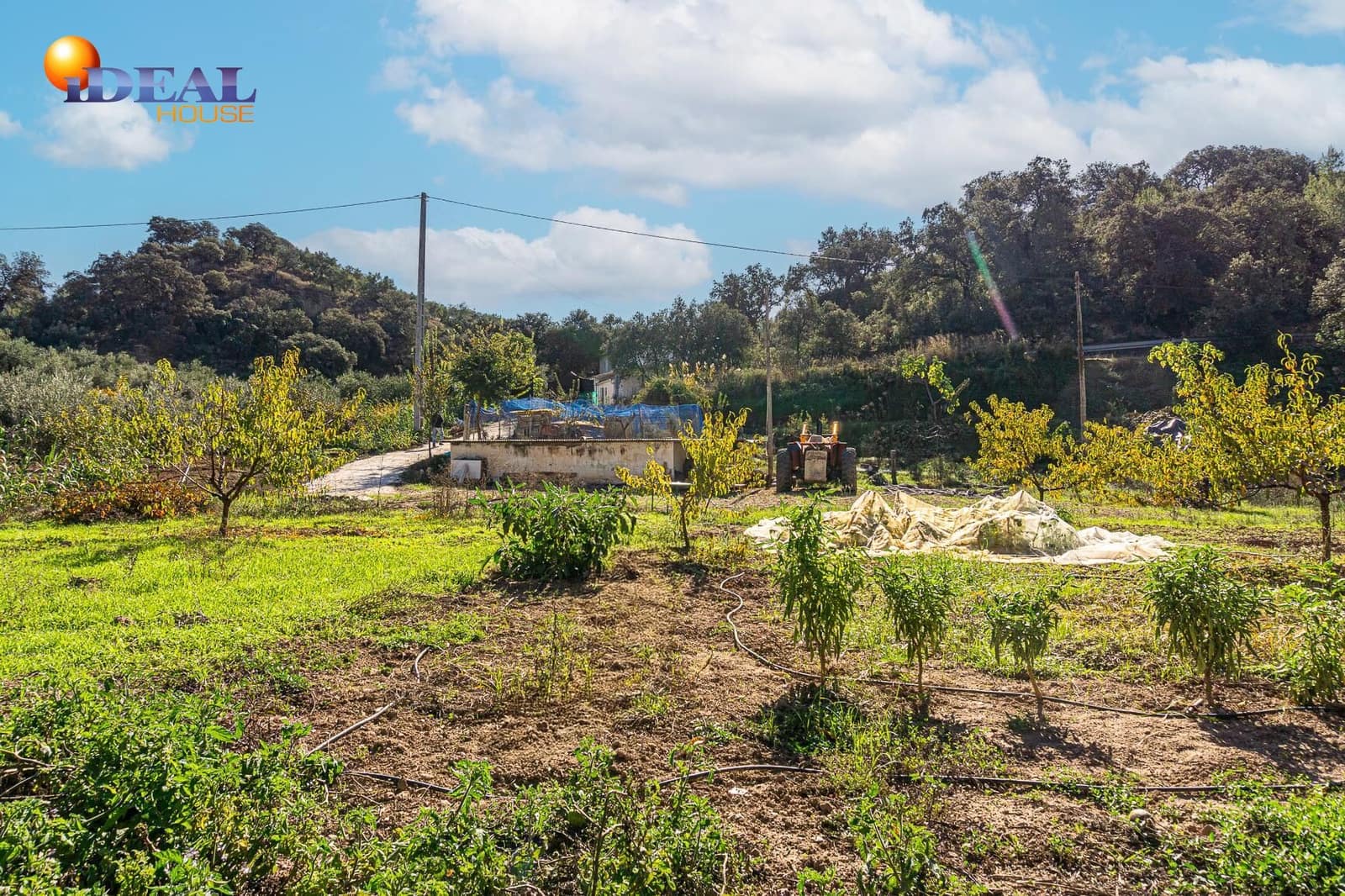 4 soverom Finca/Herregård til salgs i Castillo de Locubin med svømmebasseng - € 200 000 (Ref: 9433886)