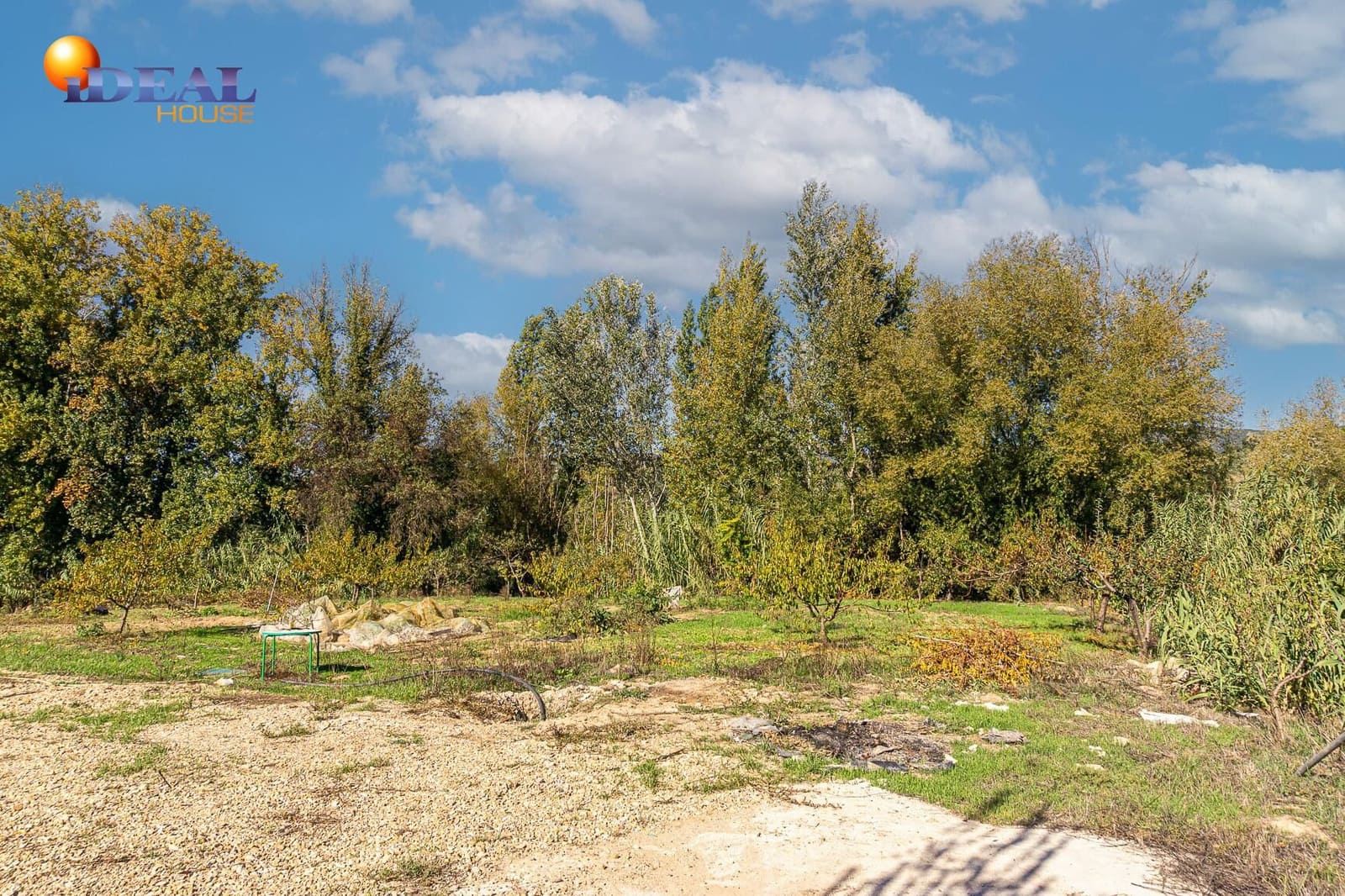 4 soverom Finca/Herregård til salgs i Castillo de Locubin med svømmebasseng - € 200 000 (Ref: 9433886)