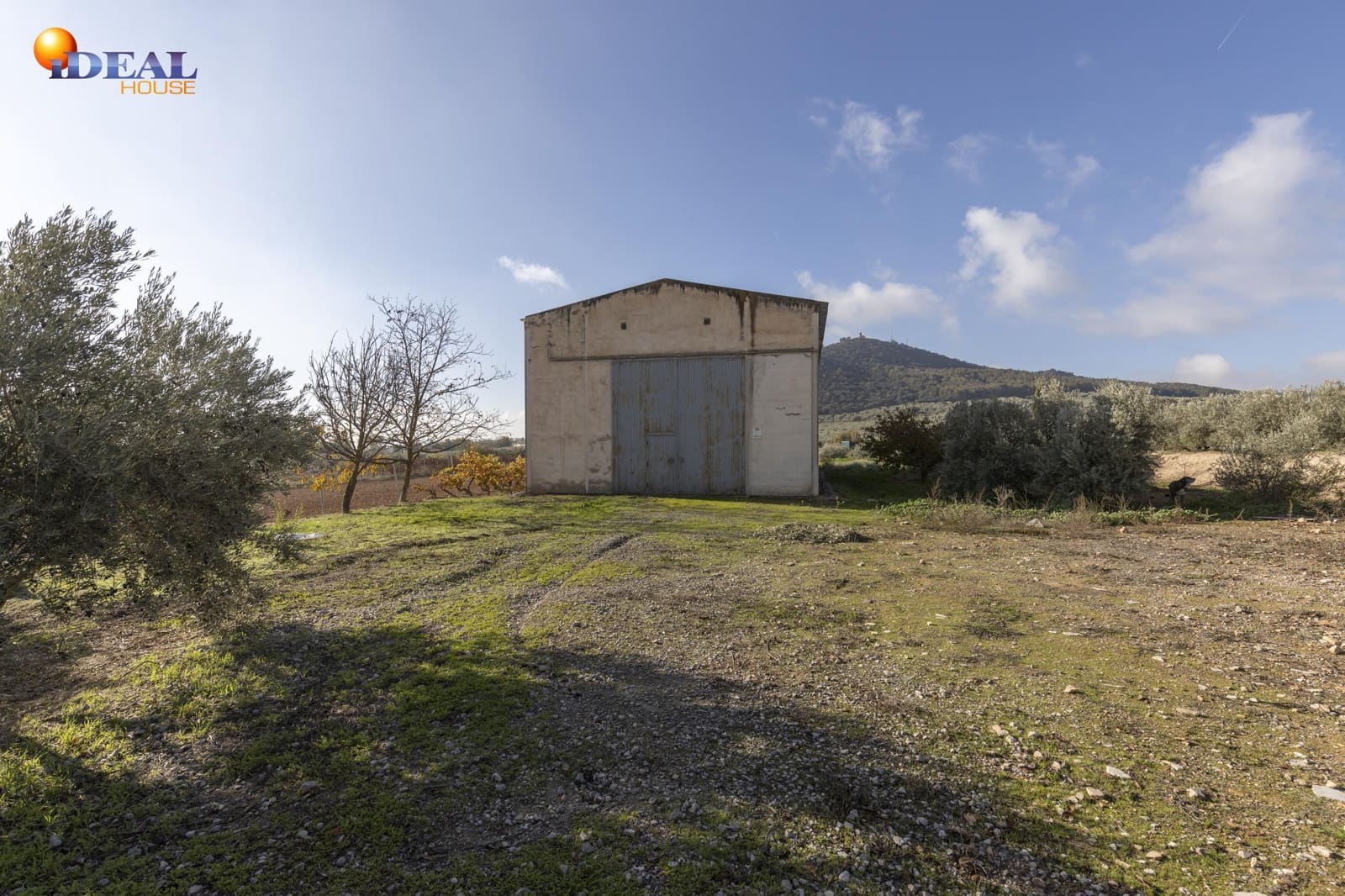 Business for sale in Albolote - € 155,000 (Ref: 9433904)