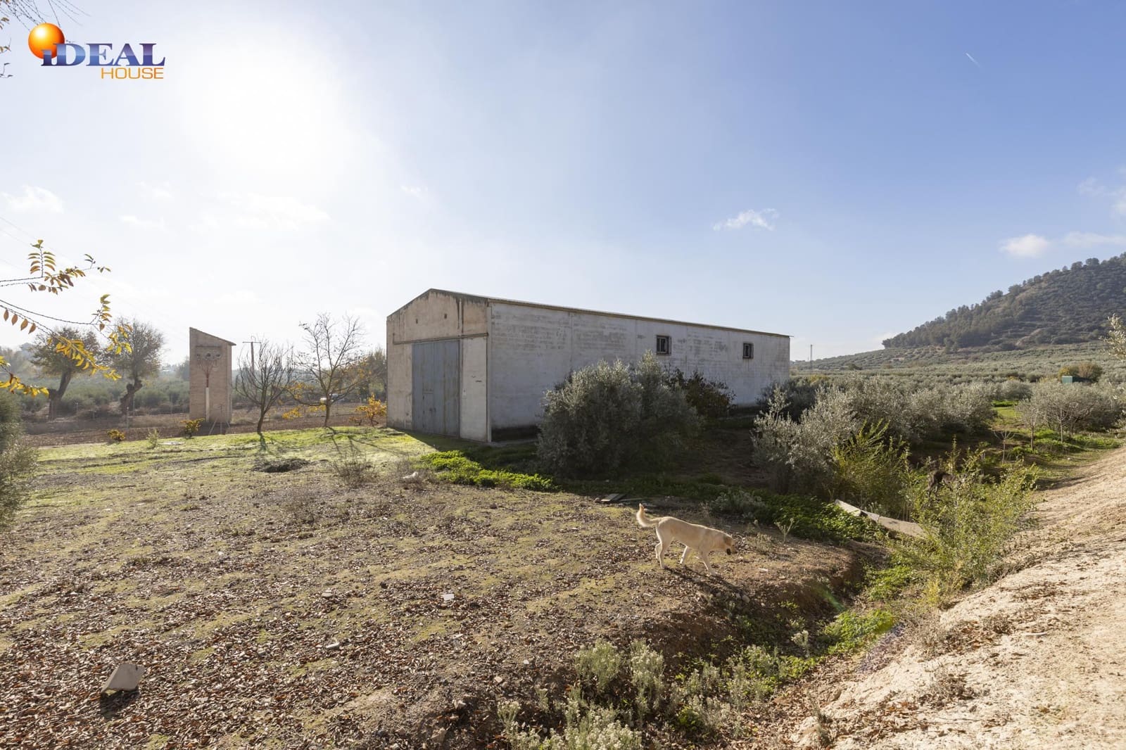 Business for sale in Albolote - € 155,000 (Ref: 9433904)