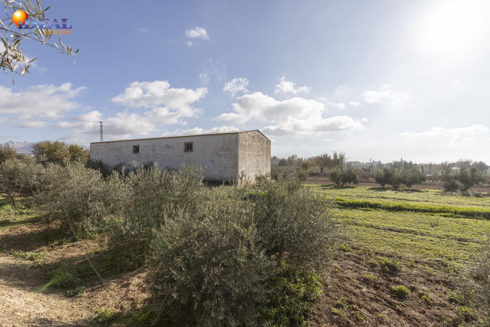 Business for sale in Albolote - € 155,000 (Ref: 9433904)