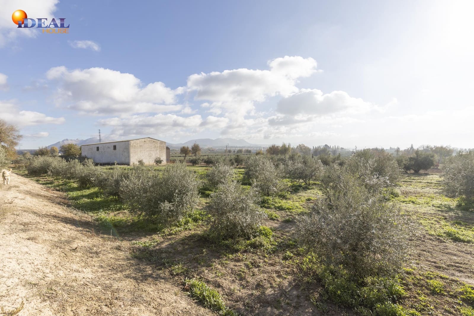 Business for sale in Albolote - € 155,000 (Ref: 9433904)