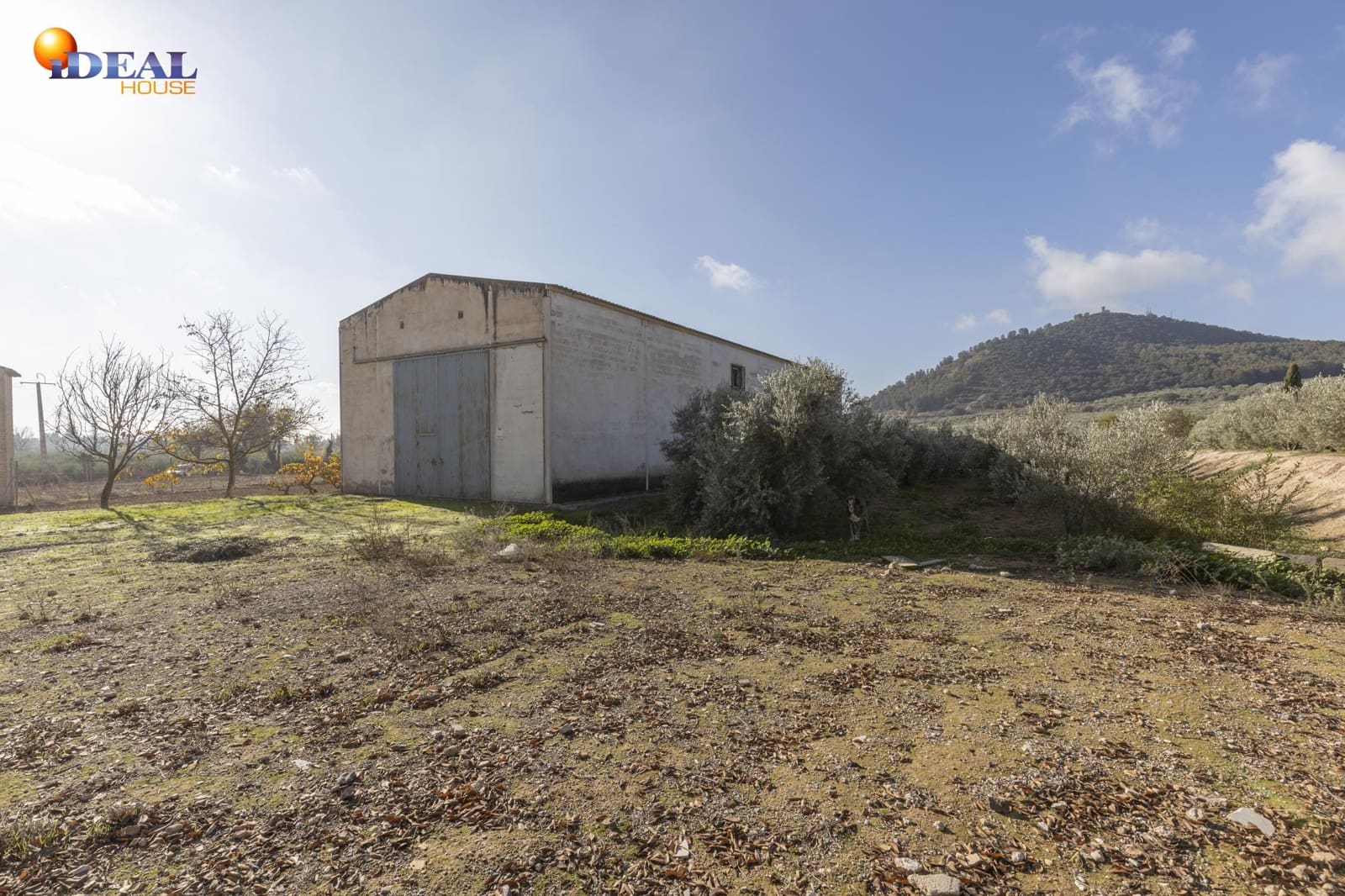 Business for sale in Albolote - € 155,000 (Ref: 9433904)