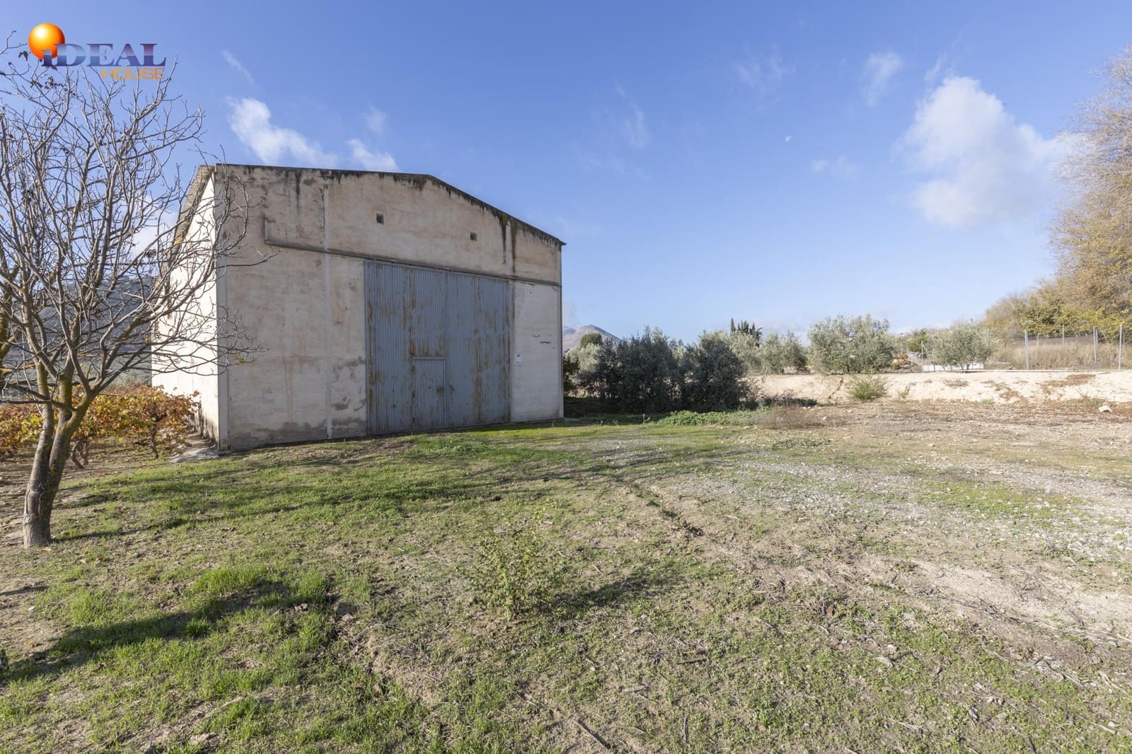 Business for sale in Albolote - € 155,000 (Ref: 9433904)