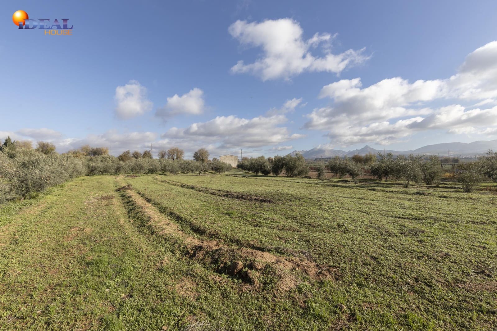 Business for sale in Albolote - € 155,000 (Ref: 9433904)