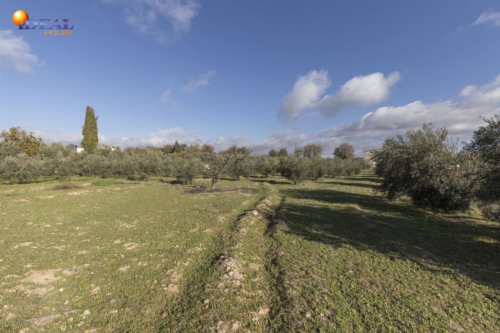 Business for sale in Albolote - € 155,000 (Ref: 9433904)