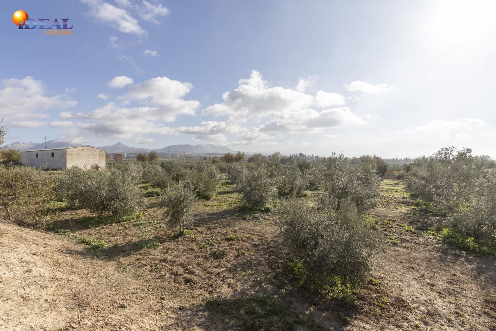 Business for sale in Albolote - € 155,000 (Ref: 9433904)