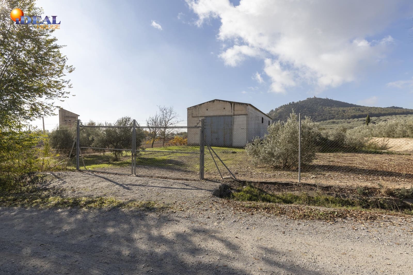 Business for sale in Albolote - € 155,000 (Ref: 9433904)