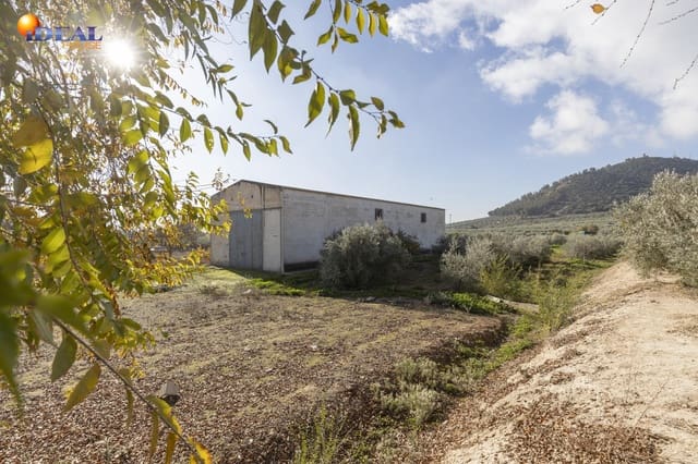 Business for sale in Albolote - € 155,000 (Ref: 9433904)