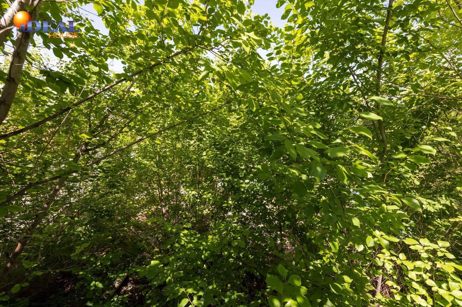 Byggegrund til salg i Monachil - € 150.000 (Ref: 9433938)