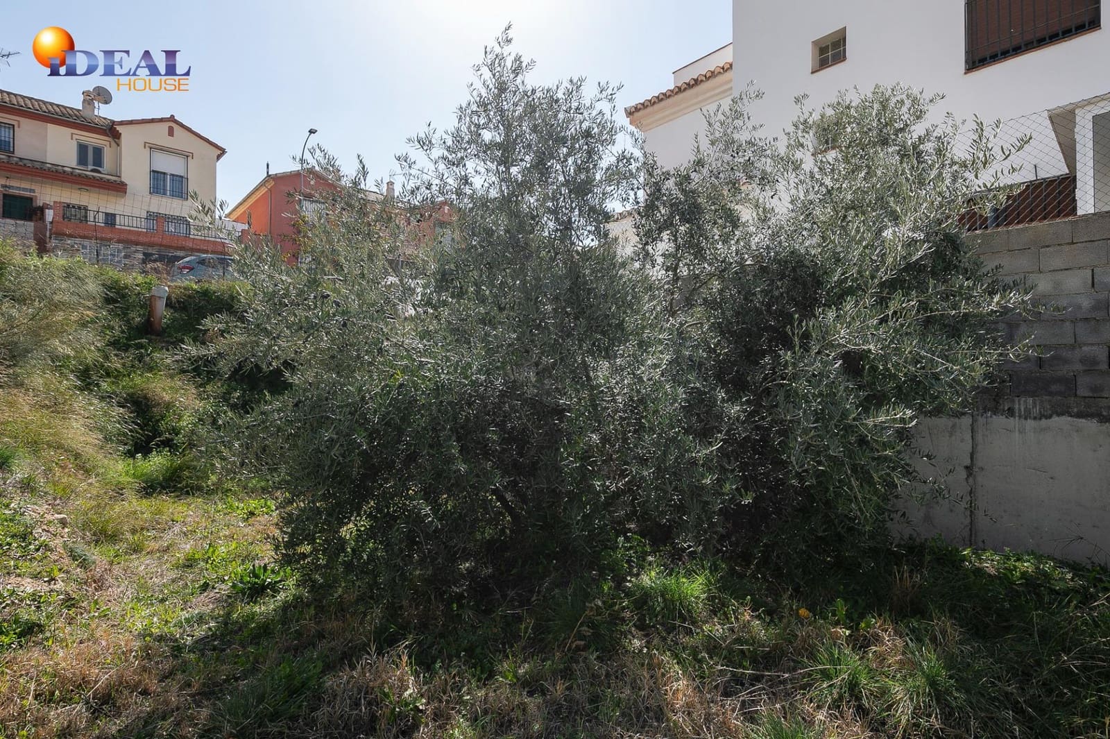 Byggegrund til salg i Jun - € 30.000 (Ref: 9433976)