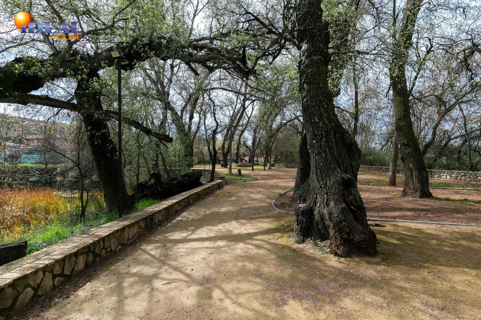 17 soverom Hotell til salgs i Deifontes - € 1 800 000 (Ref: 9433988)