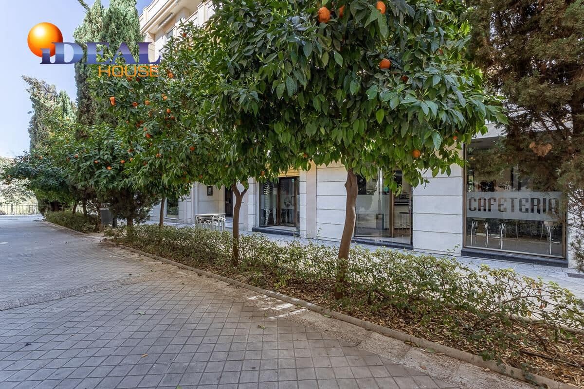 Business for sale in Granada city - € 270,000 (Ref: 9434008)