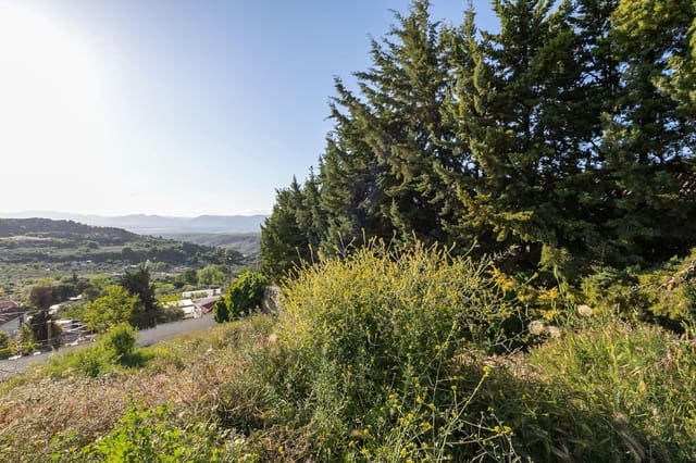 Tontti myytävänä paikassa Nívar - 117 999 € (Ref: 9434014)