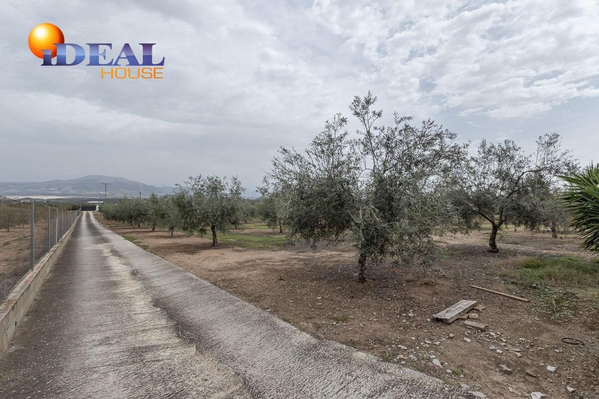 4 bedroom Finca/Country House for sale in Moraleda de Zafayona with pool garage - € 489,000 (Ref: 9434030)