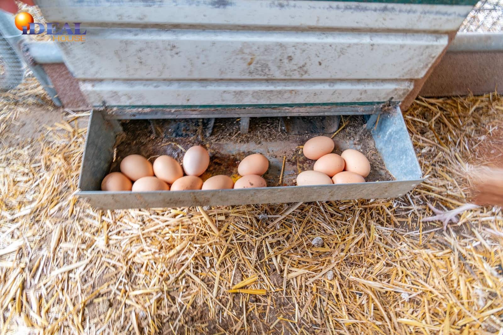 Grunde uden byggetilladelser til salg i Padul - € 330.000 (Ref: 9434042)