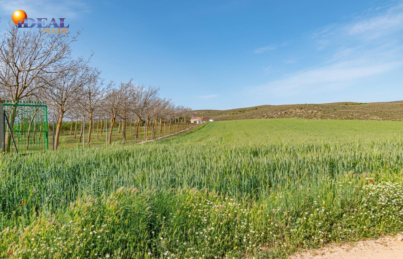 Grunde uden byggetilladelser til salg i Padul - € 330.000 (Ref: 9434042)