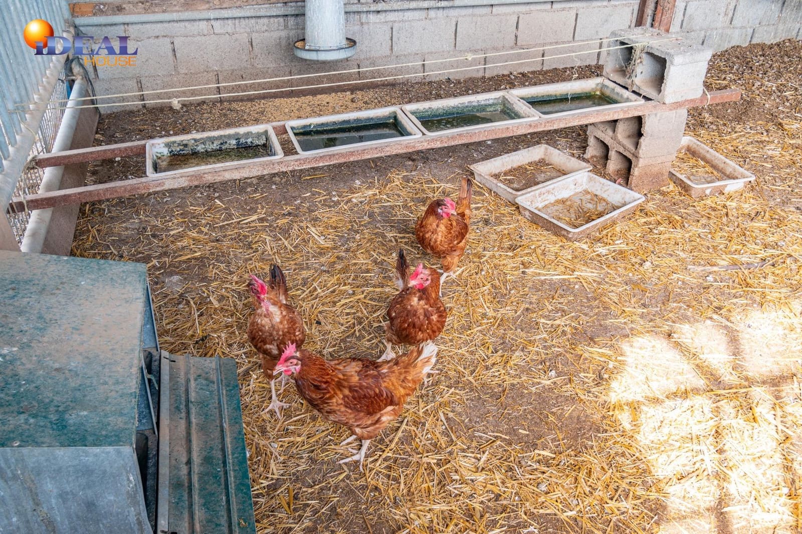 Grunde uden byggetilladelser til salg i Padul - € 330.000 (Ref: 9434042)