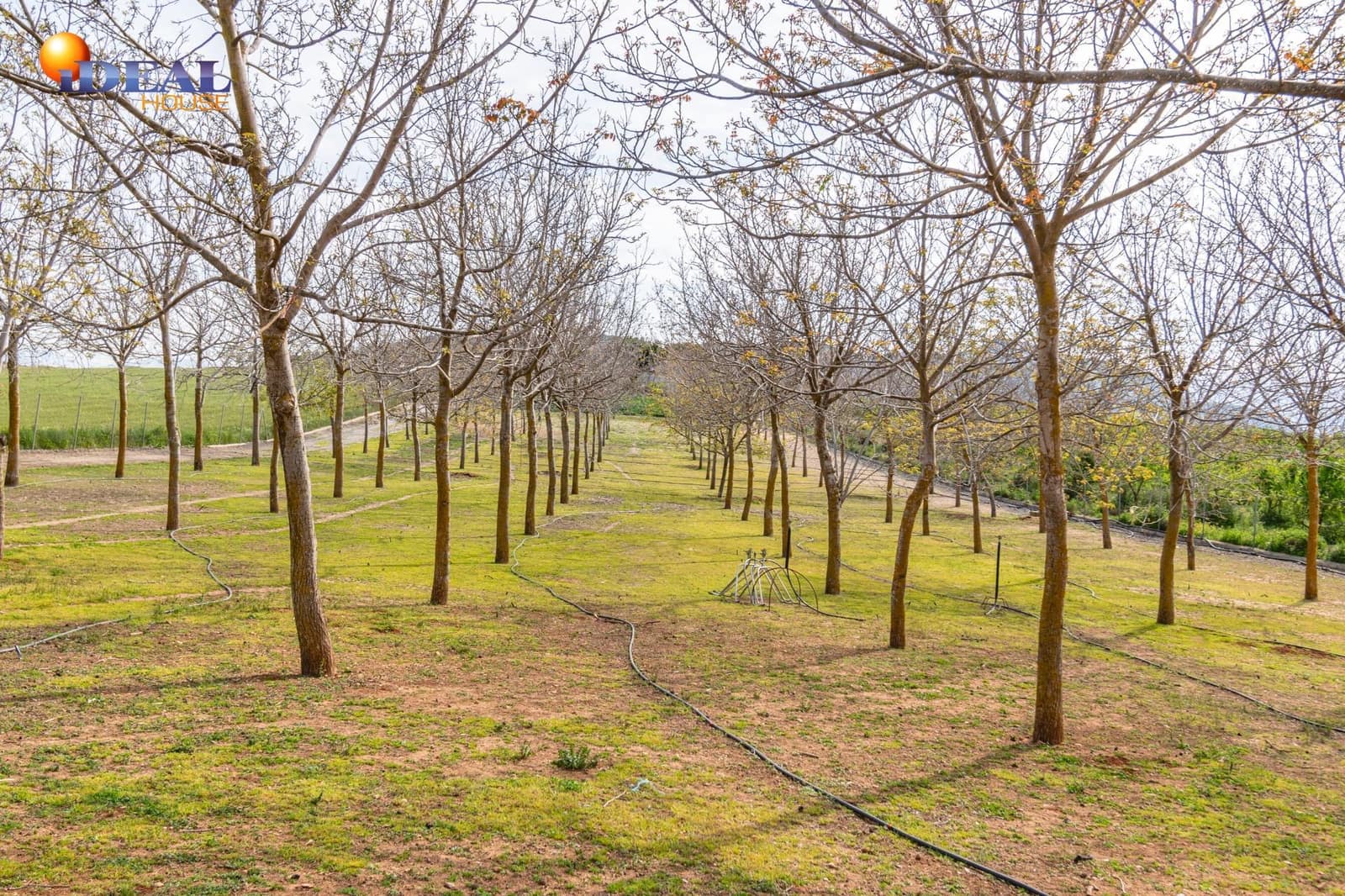 Grunde uden byggetilladelser til salg i Padul - € 330.000 (Ref: 9434042)