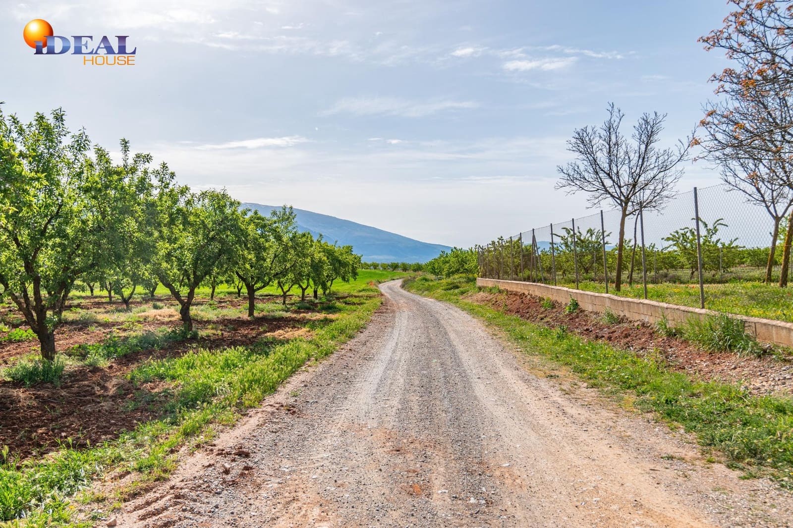 Grunde uden byggetilladelser til salg i Padul - € 330.000 (Ref: 9434042)