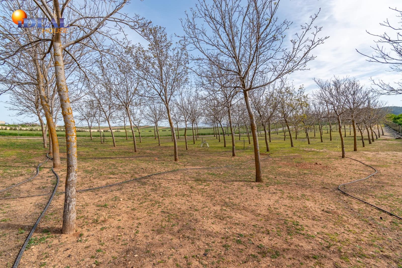 Grunde uden byggetilladelser til salg i Padul - € 330.000 (Ref: 9434042)