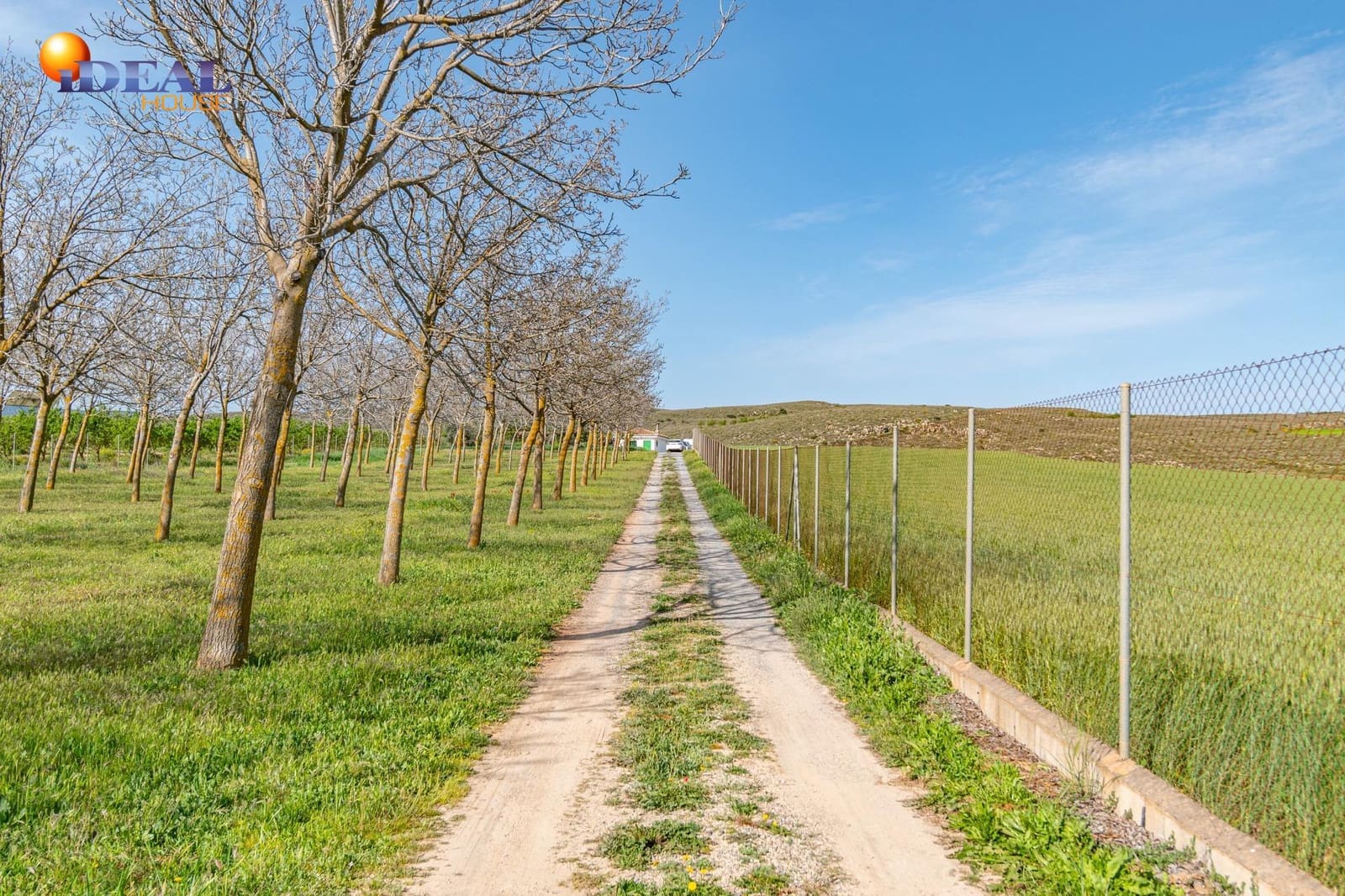 Grunde uden byggetilladelser til salg i Padul - € 330.000 (Ref: 9434042)