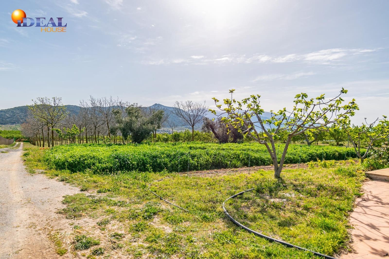 Grunde uden byggetilladelser til salg i Padul - € 330.000 (Ref: 9434042)