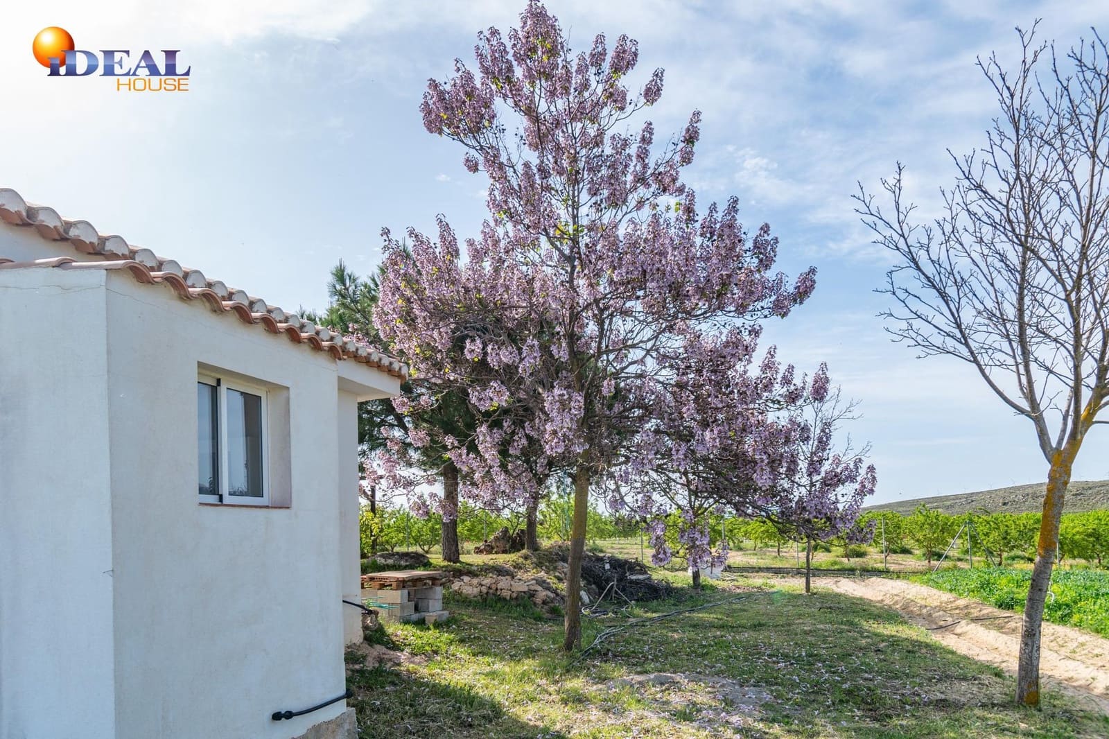 Grunde uden byggetilladelser til salg i Padul - € 330.000 (Ref: 9434042)