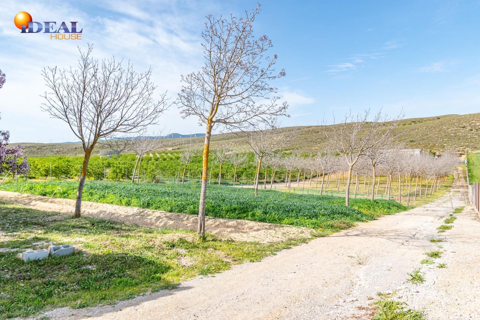 Grunde uden byggetilladelser til salg i Padul - € 330.000 (Ref: 9434042)