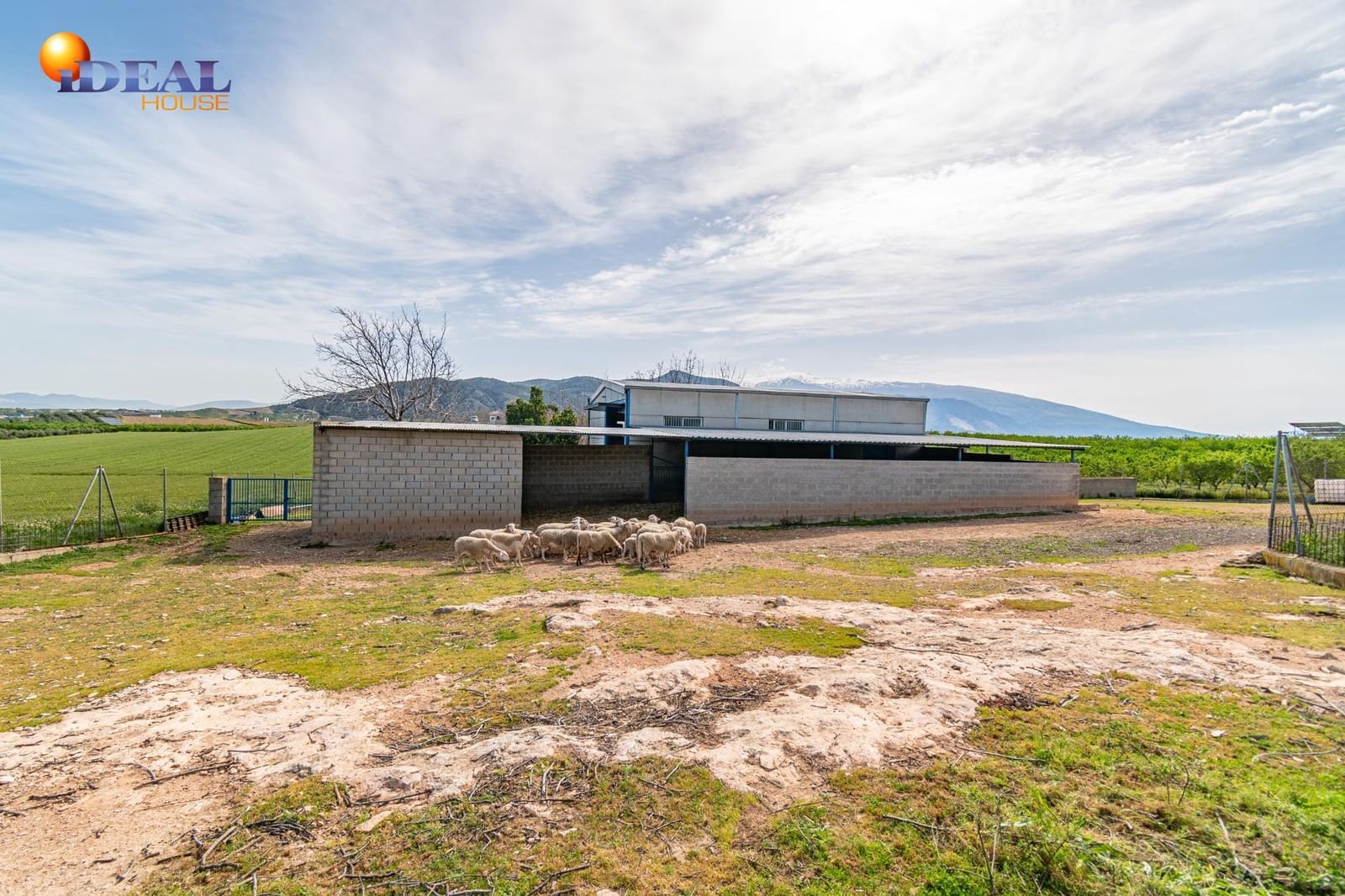 Grunde uden byggetilladelser til salg i Padul - € 330.000 (Ref: 9434042)