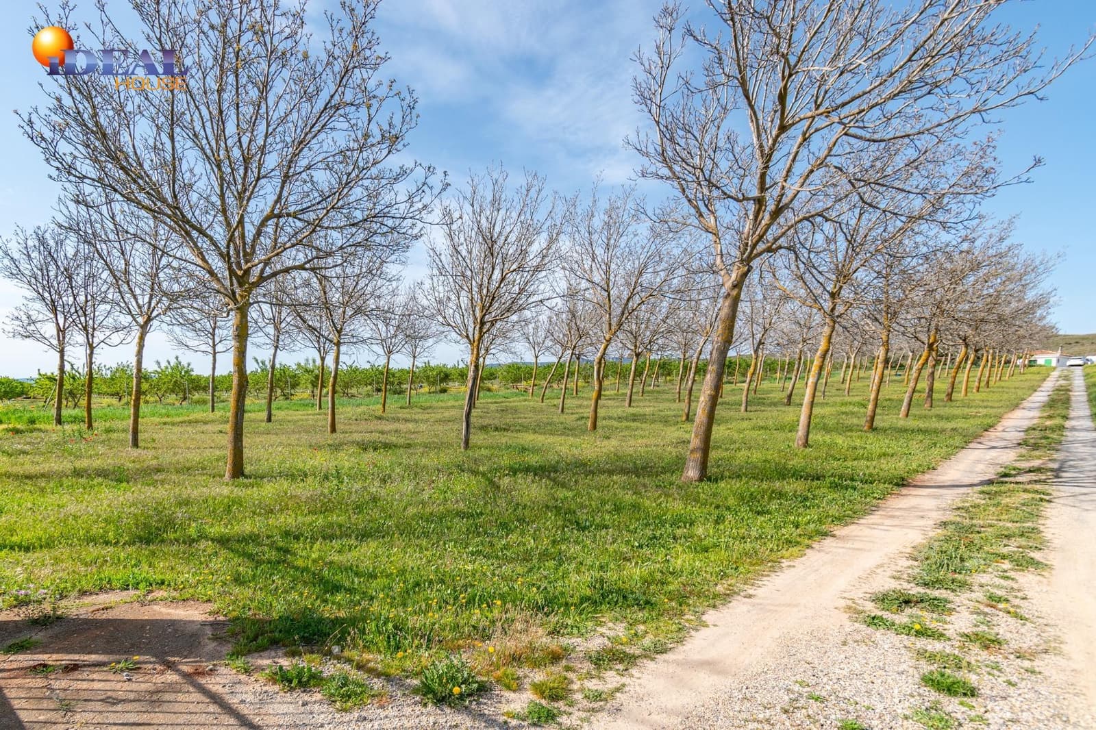 Grunde uden byggetilladelser til salg i Padul - € 330.000 (Ref: 9434042)