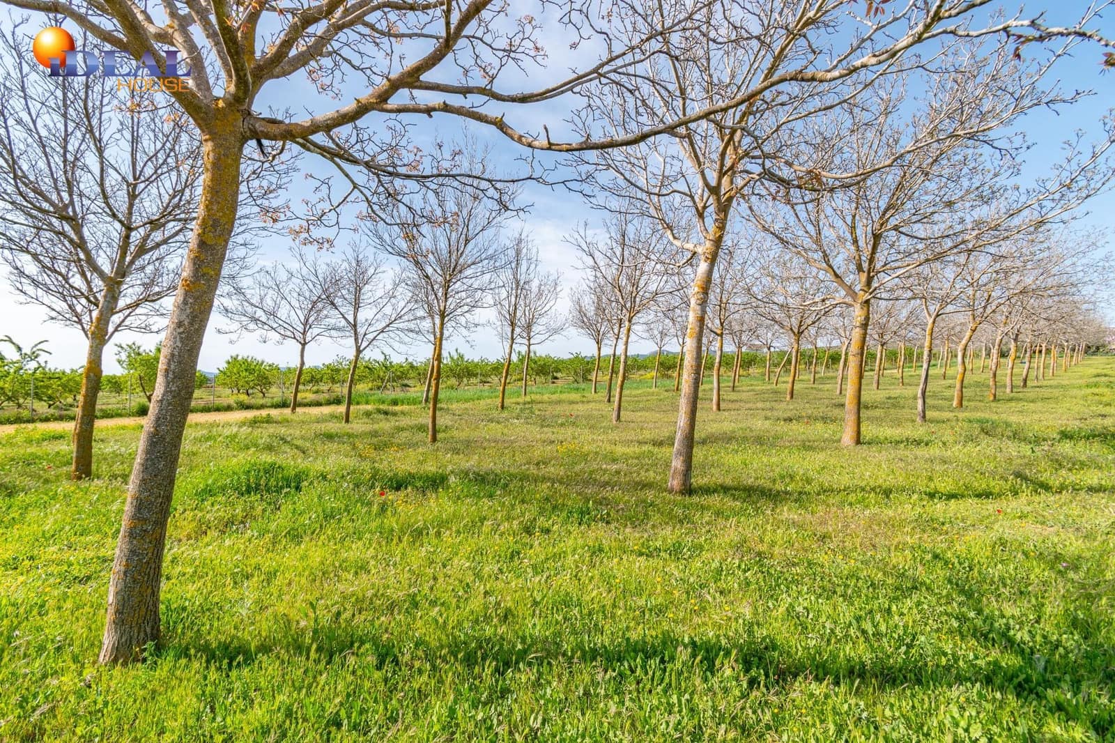 Grunde uden byggetilladelser til salg i Padul - € 330.000 (Ref: 9434042)