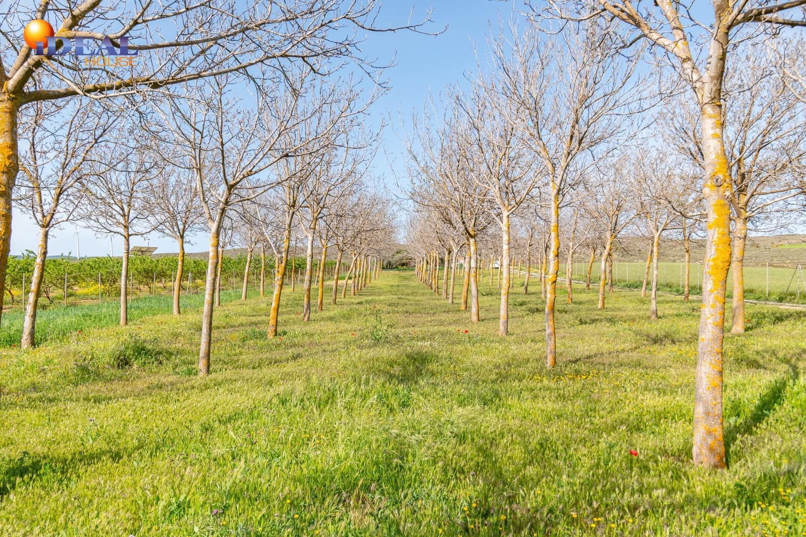 Grunde uden byggetilladelser til salg i Padul - € 330.000 (Ref: 9434042)