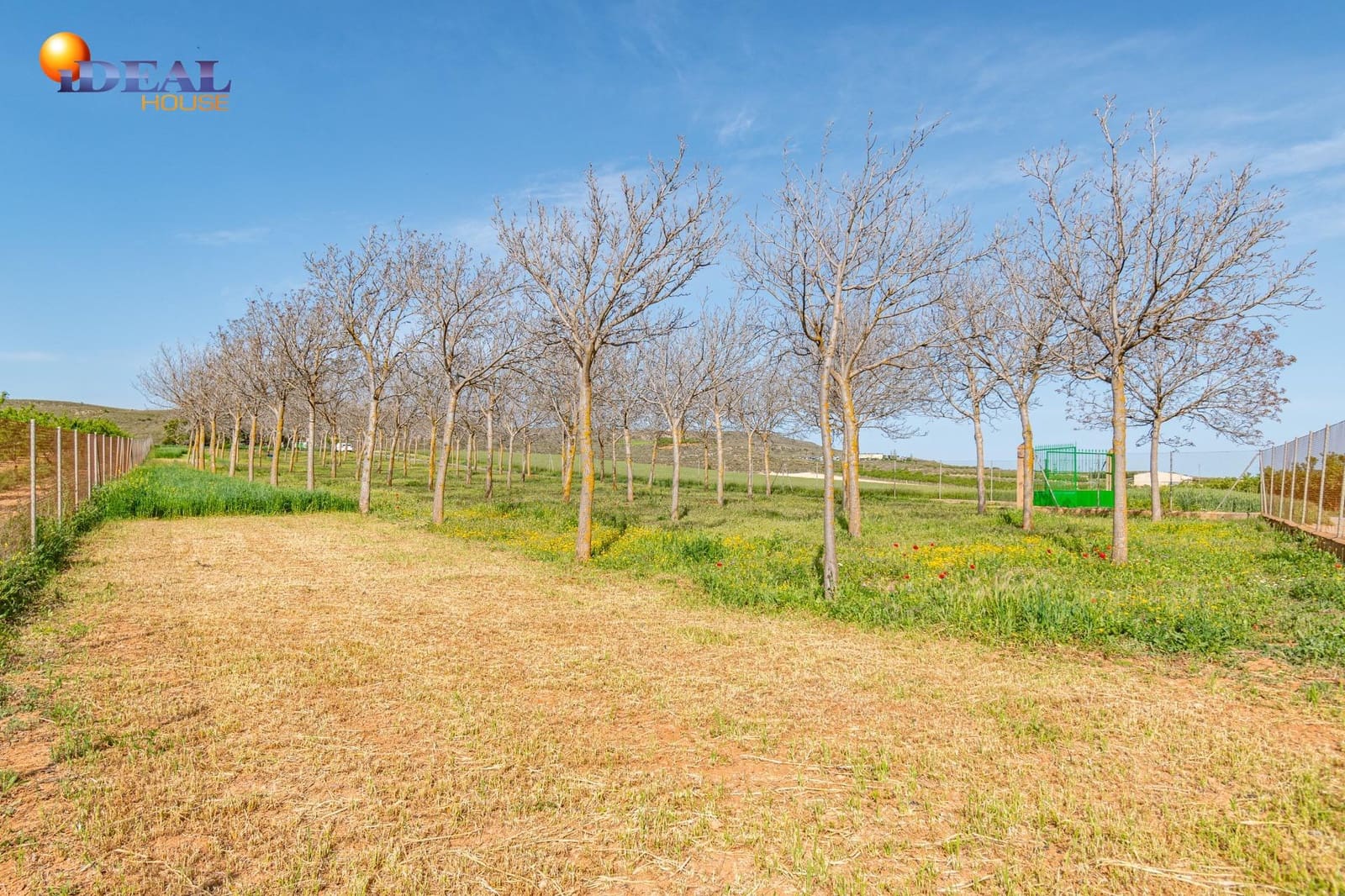 Grunde uden byggetilladelser til salg i Padul - € 330.000 (Ref: 9434042)